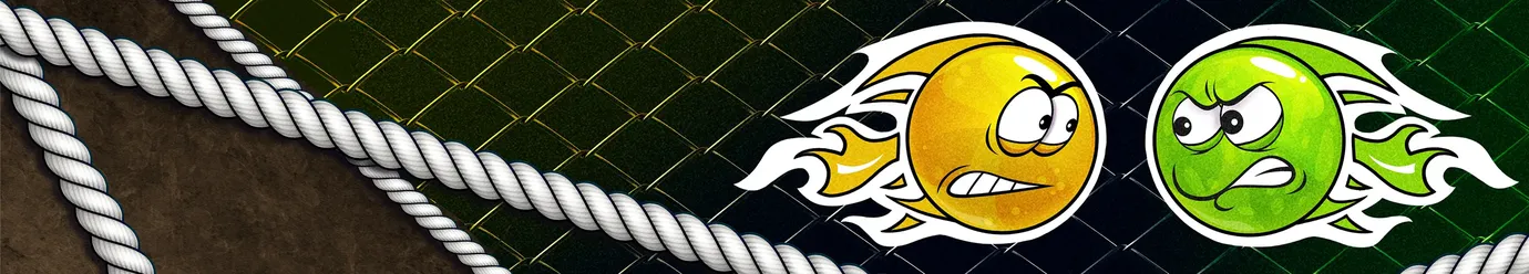 Liga Internacional de MMA